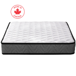 Snowdown 8" Quilted Foam Twin Mattress - Double Also Available